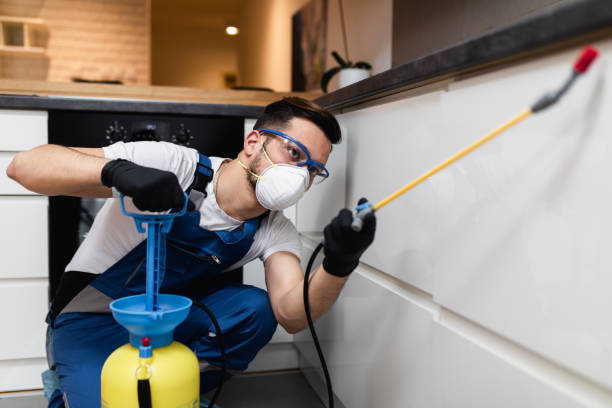 Best Emergency Pest Control  in Harlem Heights, FL