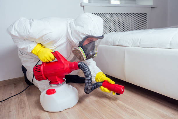 Best Best Pest Control Companies  in Harlem Heights, FL